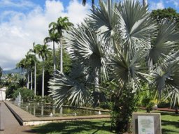 Visite de la capitale, Saint-Denis 09/04/2012